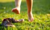 Barefoot Footwear: Exploring Its Orthopaedic Effects on Children