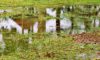 Stormwater Drain Solutions in Wollongong: Understanding Causes