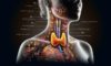 Thyroid Blood Test in Aylesbury: Quick and Reliable Results