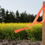 Subdivision Surveys: The Essential Guide for Clyde North Land