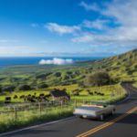Scenic Routes and Hidden Gems on a Maui Road Trip