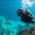 Big Blue Hole Diving Guide: Essential Tips for Belize