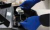 Rat Bait Laws: Essential Updates for Australia You Need to Know