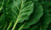 Collard Greens Recipe: A Healthy Dinner in the Slow Cooker