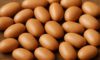 Fermented Locust Bean Ogiri: Simple Recipe for Home Preparation
