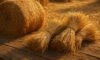Hay and Straw: Innovative Cooking Recipe Ideas