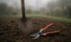 Garden Maintenance Tips for Every Martock Season
