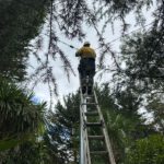 Electrical Defect Notice Response: Mid North Coast Insights